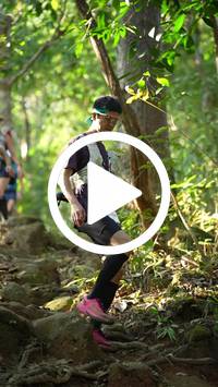 BIB:  <button type="button" onclick="openModal(27639351)" class="btn btn-primary btn-sm float-right" data-toggle="modal" data-target=".modal-high-quality">
                <i class="fa fa-download"></i> Download
                </button>